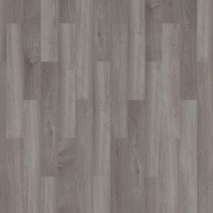 mFlor Broad Leaf Grey Sycamore