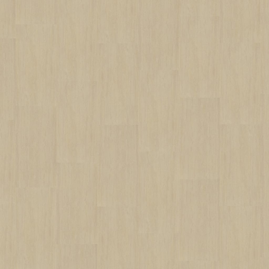 mFlor Abruzzo Velia
