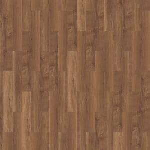 mFlor Broad Leaf Dark Sycamore
