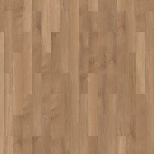 mFlor Broad Leaf Pure Sycamore