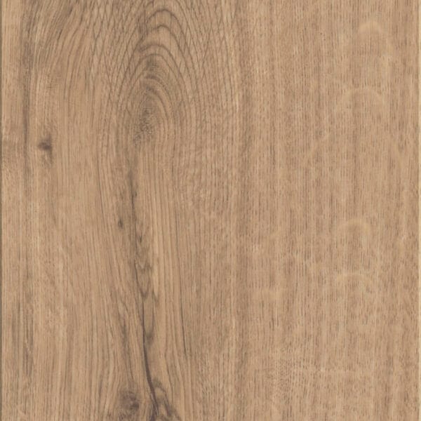 mFlor Broad Leaf Warm Sycamore - Image 2