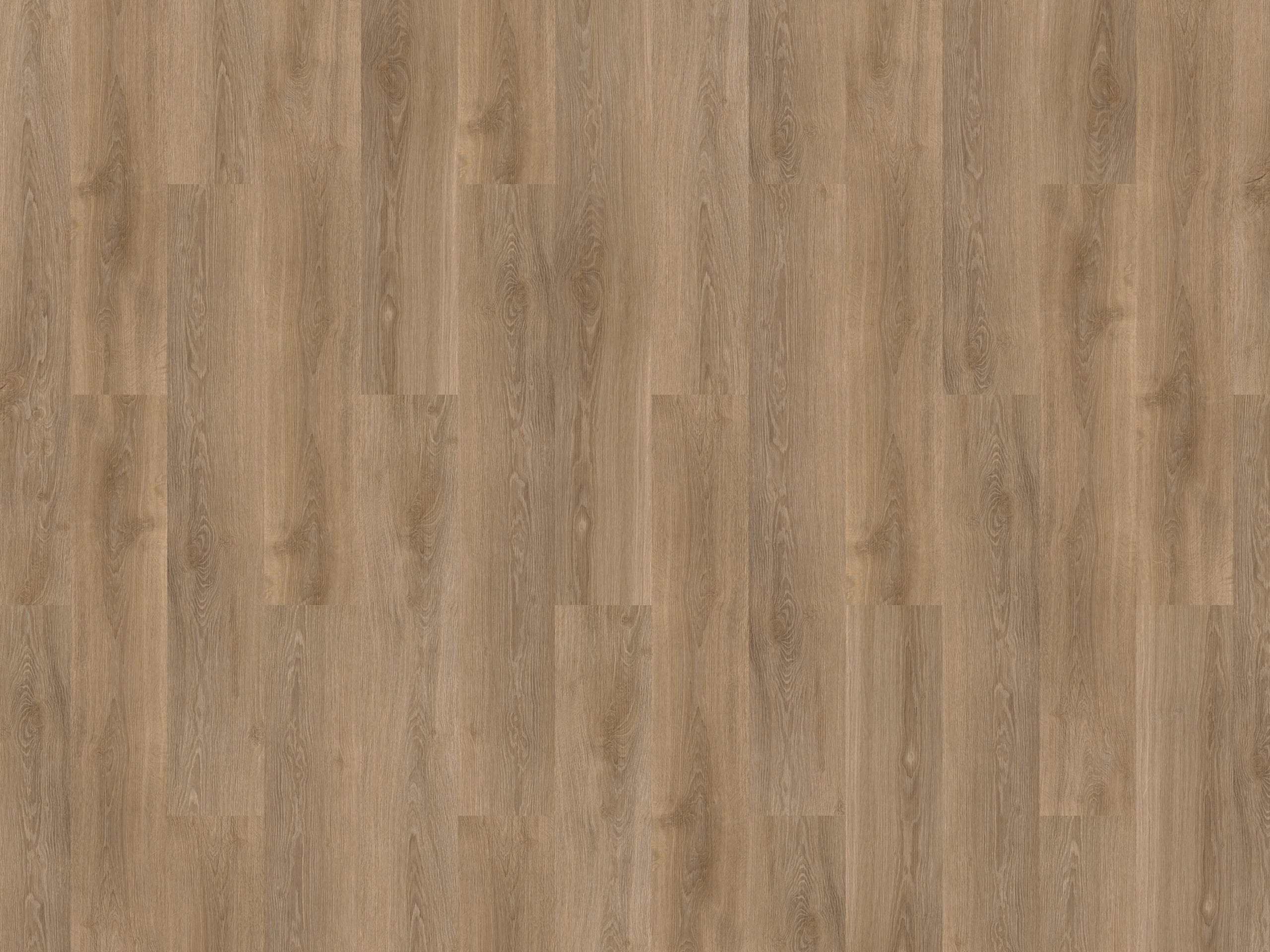 mFlor River Oak Volga